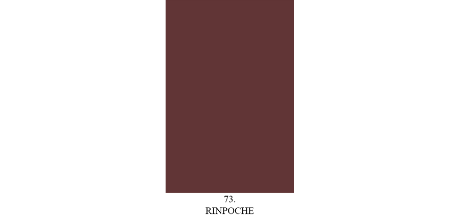 Matt paint sample "Rinpoche" n°73